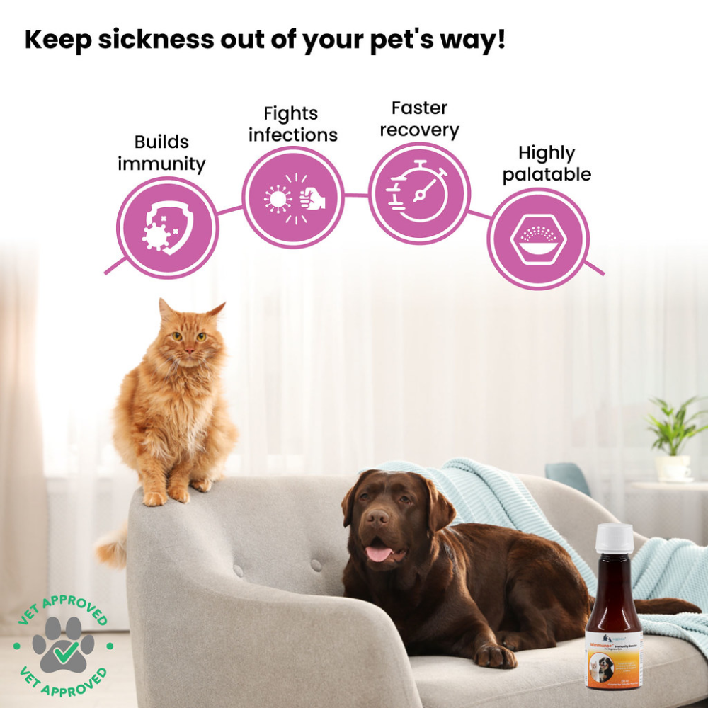 Wiggles Wimmuno+ Immunity Booster Probiotics Syrup Supplement for Pets