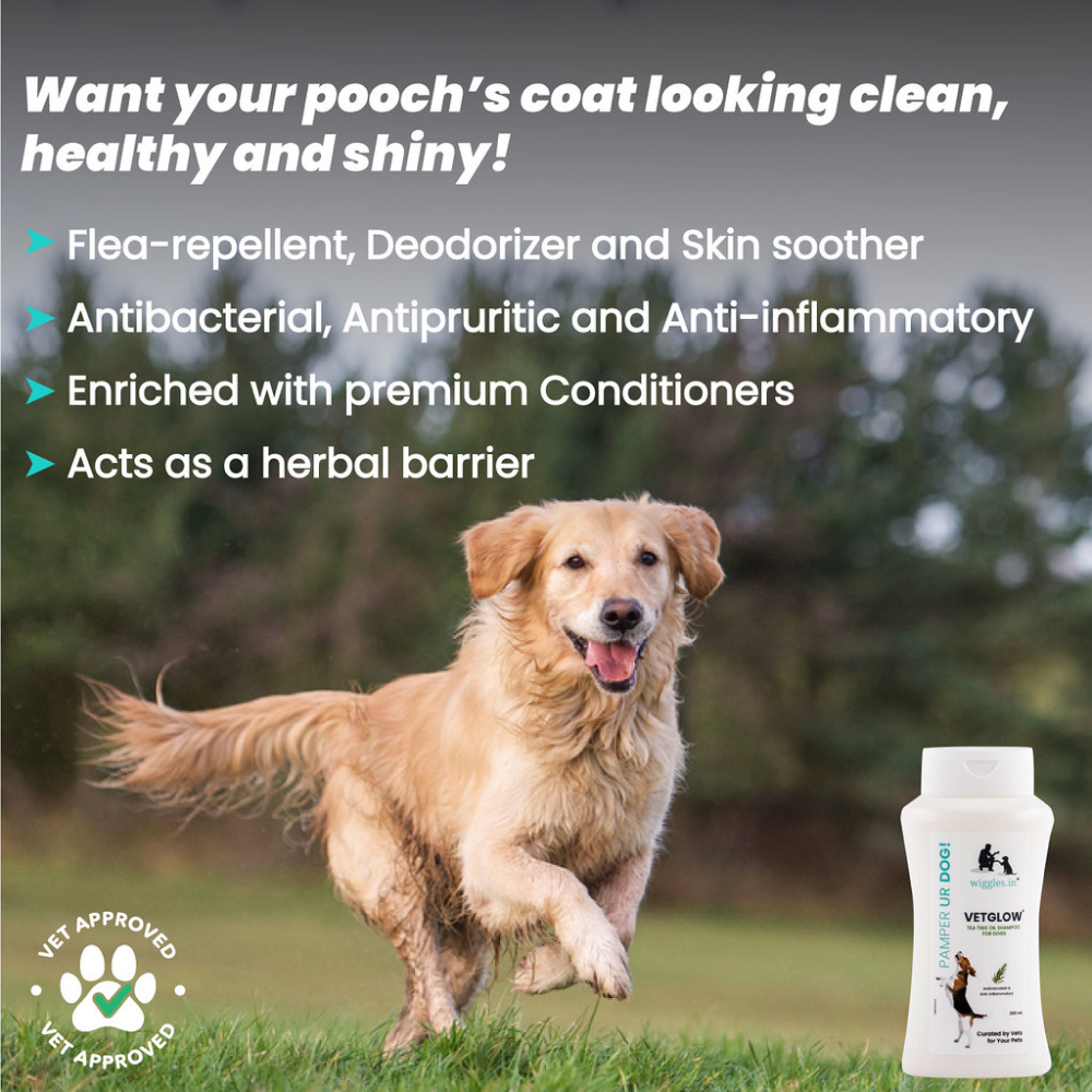 Wiggles Vetglow Dog Bath Shampoo for Pets
