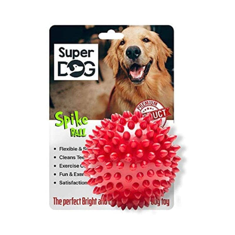 First Pet Natural Rubber Dog Bone + Spiked Ball Bundle Toy for Dogs
