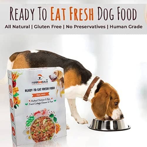 FurrMeals Herbed Chicken & Rice Ready-to-Eat Dog Wet Food (X-Large Dogs)