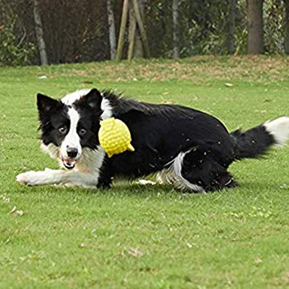 Kiki N Pooch Latex Owl Toy for Dogs(L)