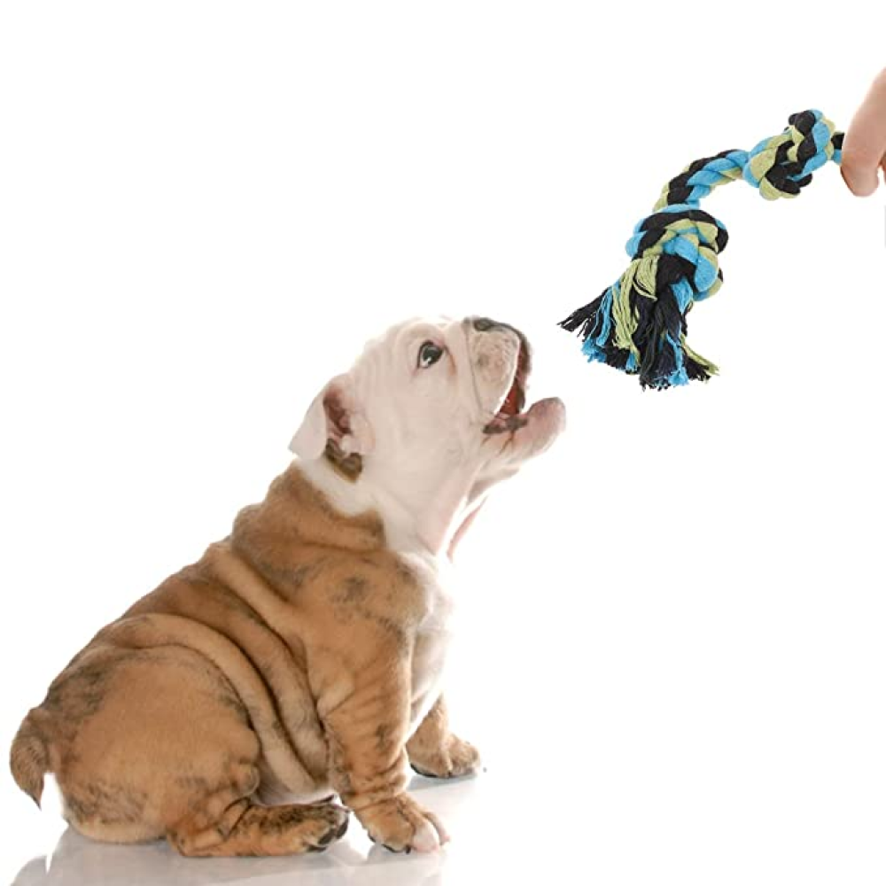 Kiki N Pooch 3 Knot Rope Toy for Dogs