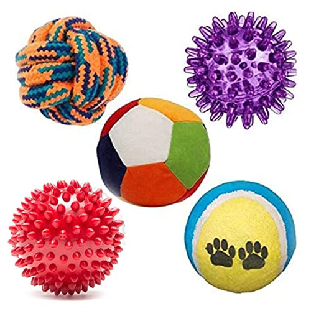 Kiki N Pooch Puppy Ball 5 in 1 Combo Rattle Ball for Dogs