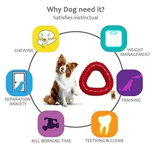 First Pet Natural Rubber Triangle Toy for Dogs
