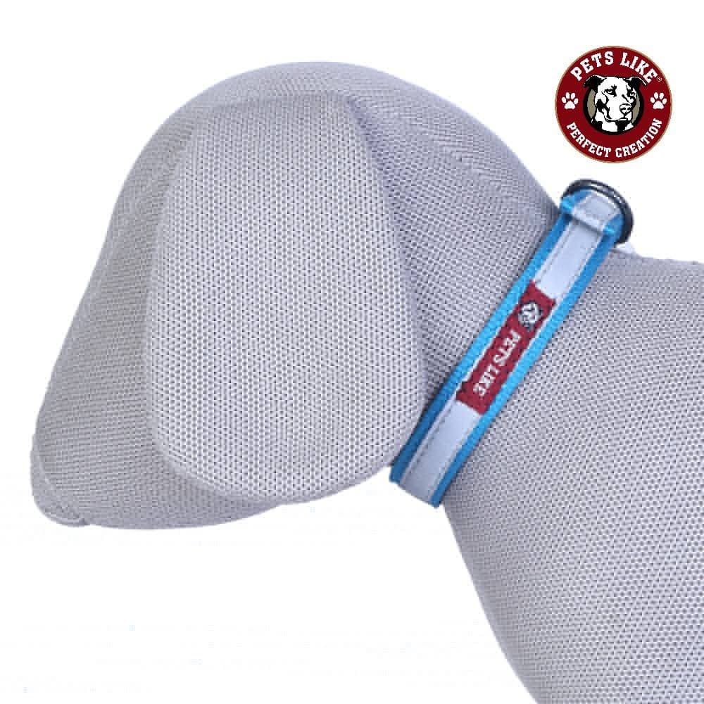 Pets Like Reflective Collar for Dogs (Assorted)