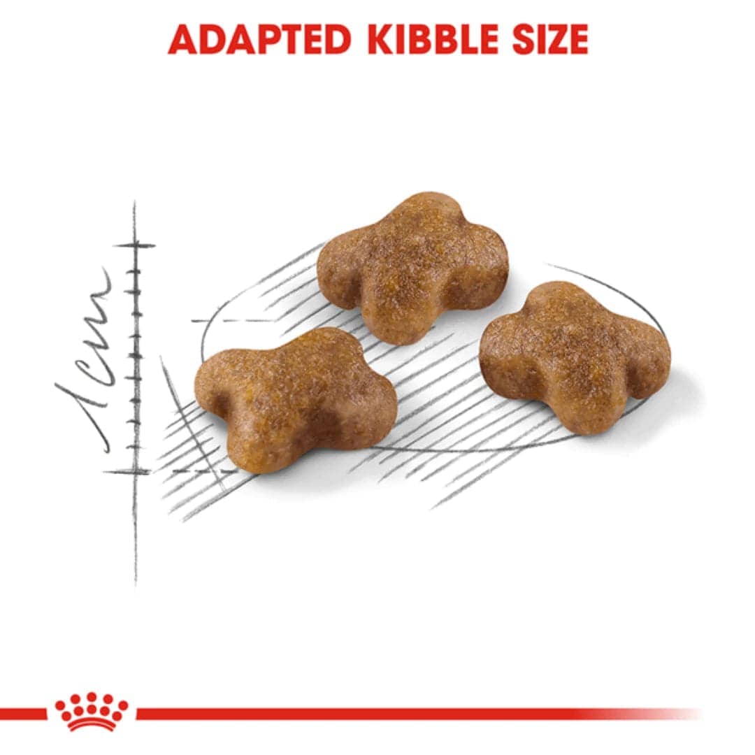 Royal Canin Kitten Dry Food (Sample)