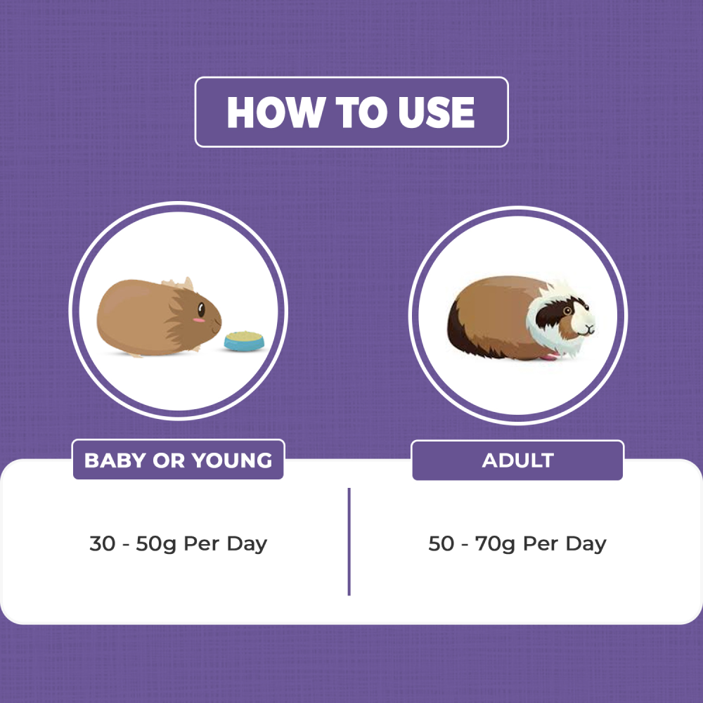 Petvit Guinea Pig Food