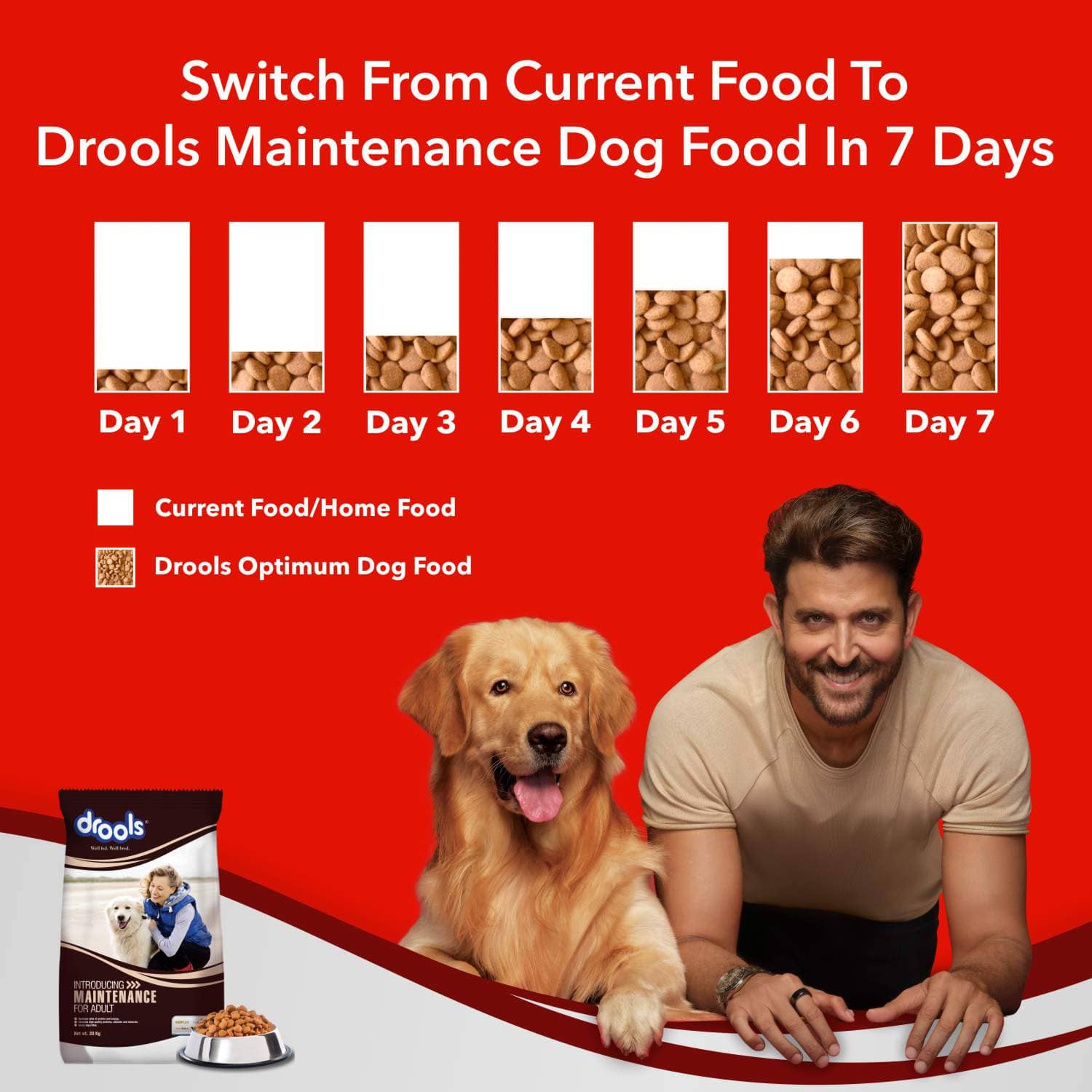 Drools Chicken Maintenance Adult Dog Dry Food