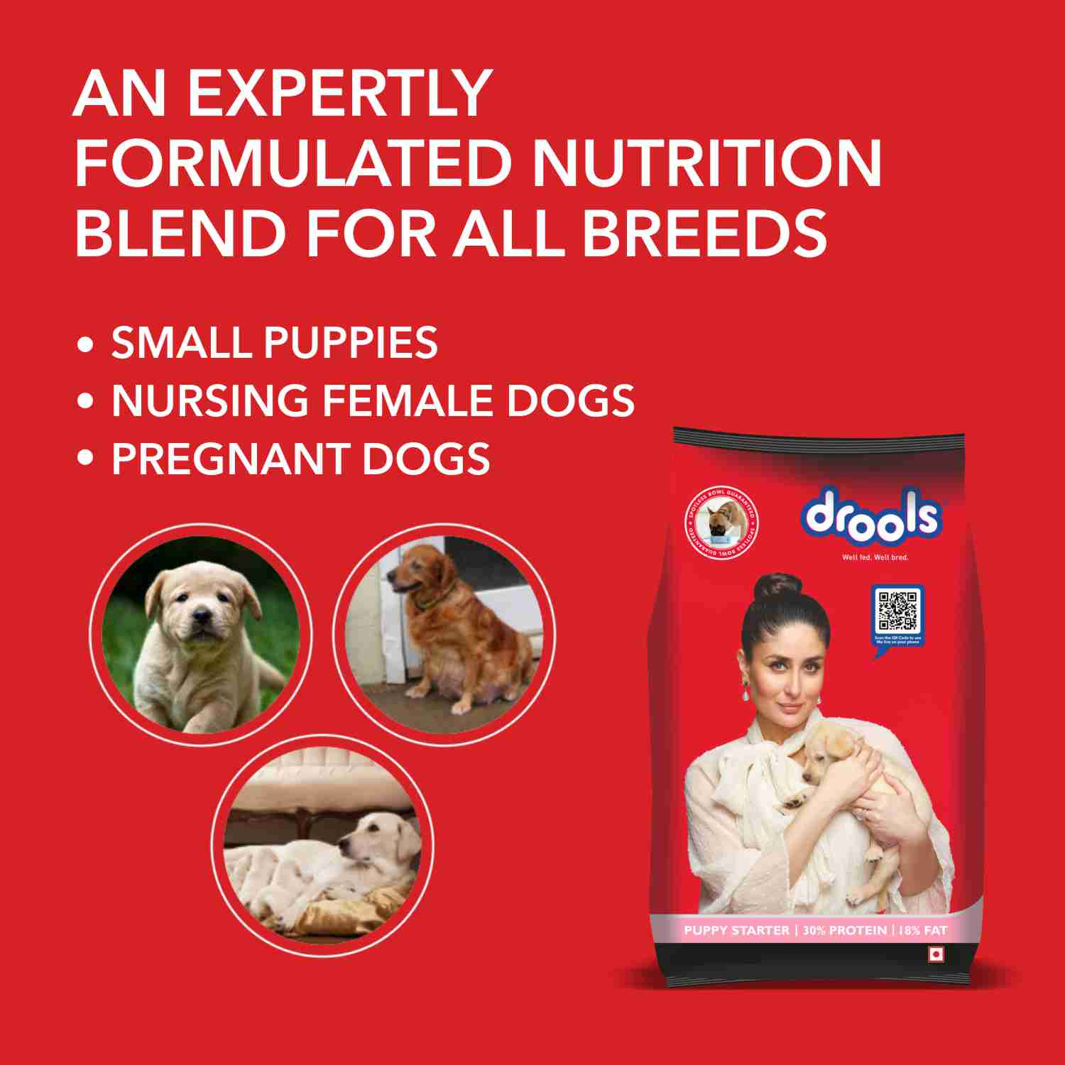 Drools Chicken Puppy Starter Dry Dog Food
