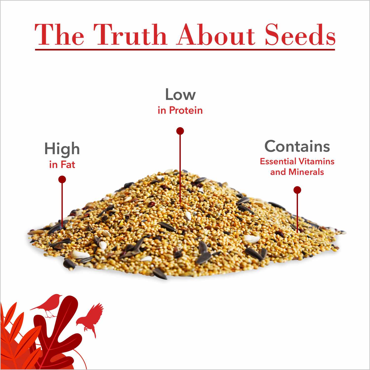 Drools Bird Food with Mixed Seeds for Love Birds and Cockatiel