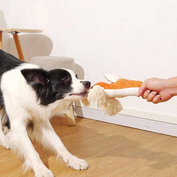 Pawsindia Sleepy Dog Shaped Toy for Dogs