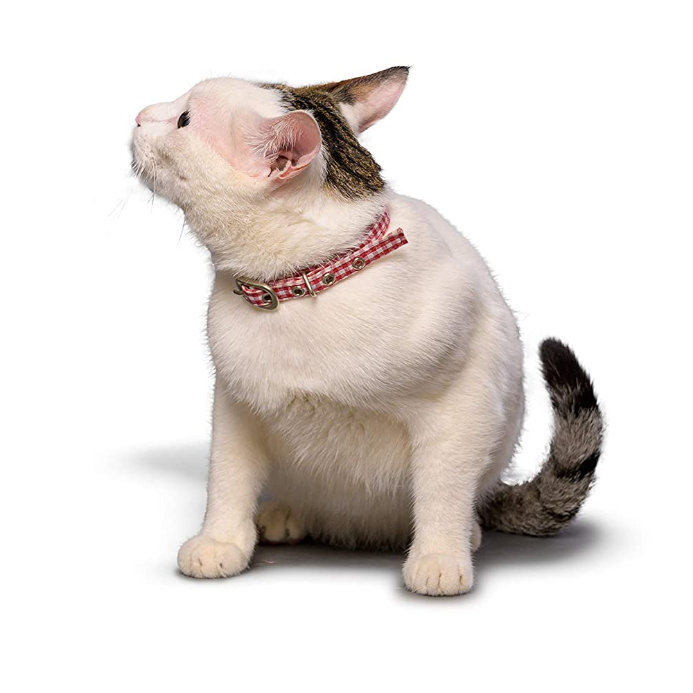 PetWale Collar for Cats (Red and White Checks)