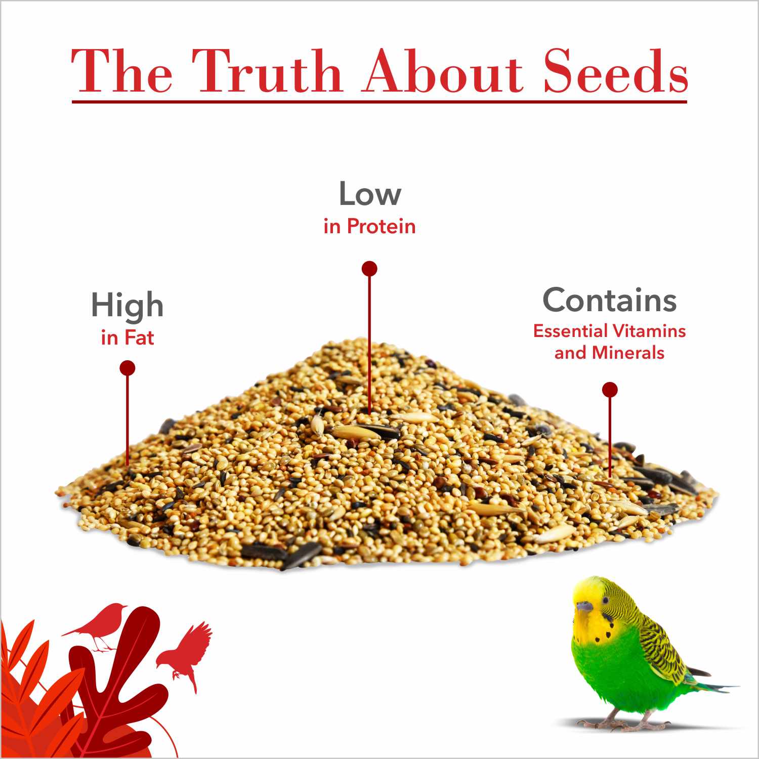 Drools Bird Food with Mixed Seeds for Budgies