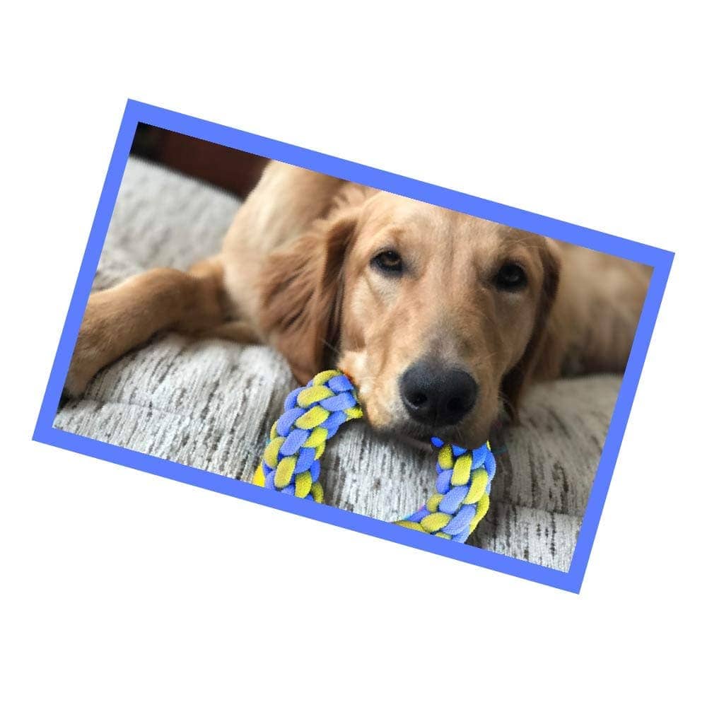 Dogitos Knotted Cotton Ring Shaped Rope Toy for Dogs (Assorted)