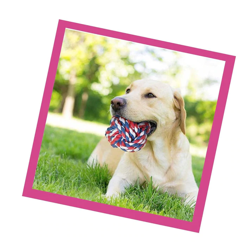 Dogitos Knotted Cotton Ball Toy for Dogs (Assorted)