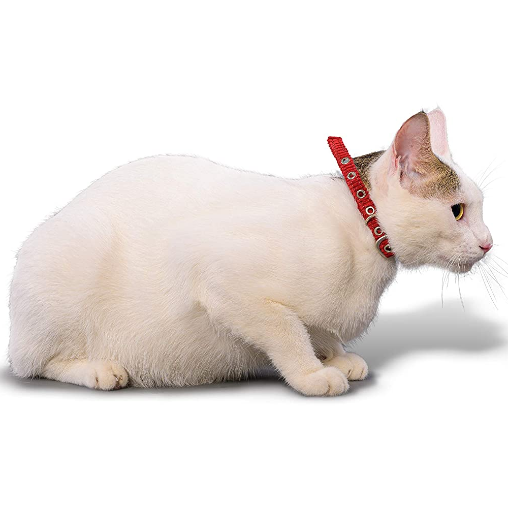 PetWale Collar for Cats (Red)