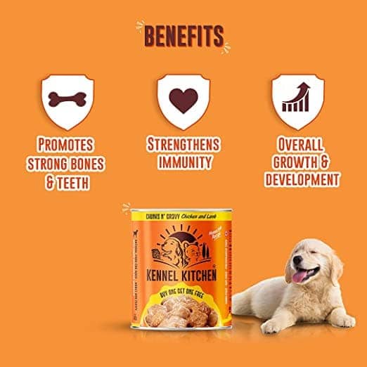 Kennel Kitchen Chicken & Lamb Chunks n Gravy Wet Dog Food