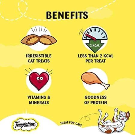 Temptations Tasty Chicken Flavoured Cat Treats