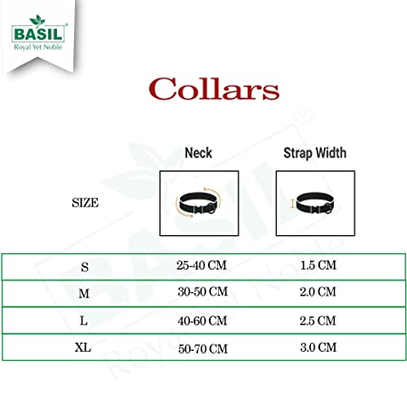 Basil Nylon Padded Collar for Dogs (Blue)