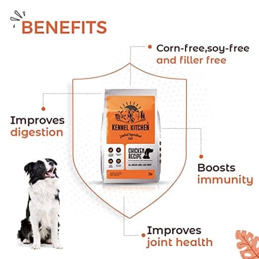 Kennel Kitchen Chicken Recipe Dog Dry Food for Adults & Puppies