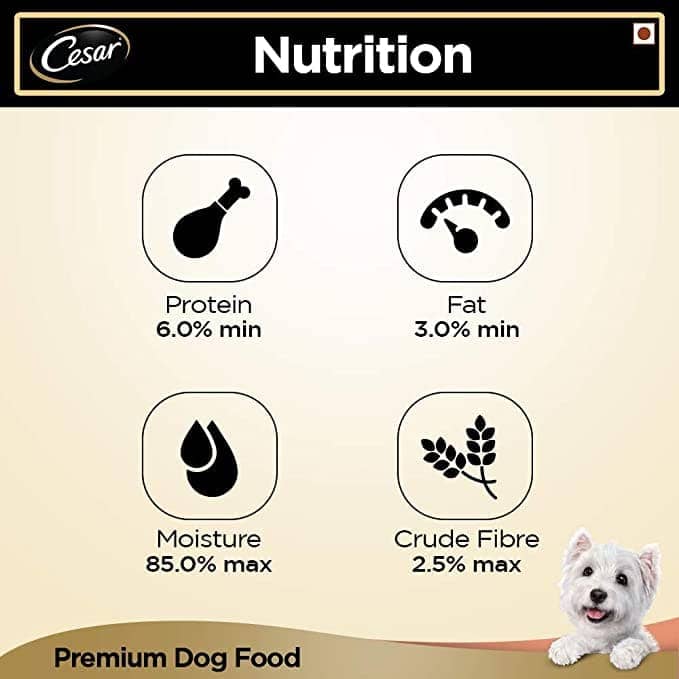 Cesar Salmon & Potato Adult Dog Wet Food