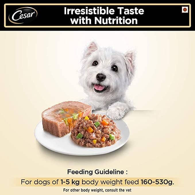 Cesar Lamb & Vegetables Adult Dog Wet Food