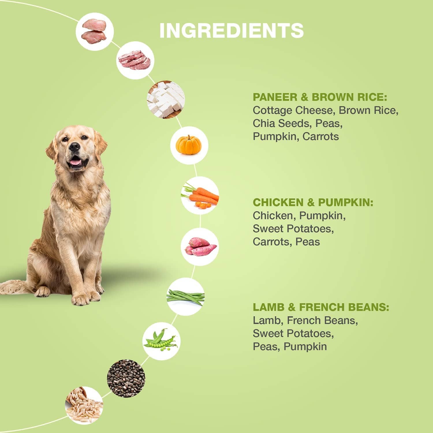 Bennys Bowl Assorted Fresh Food for Dogs