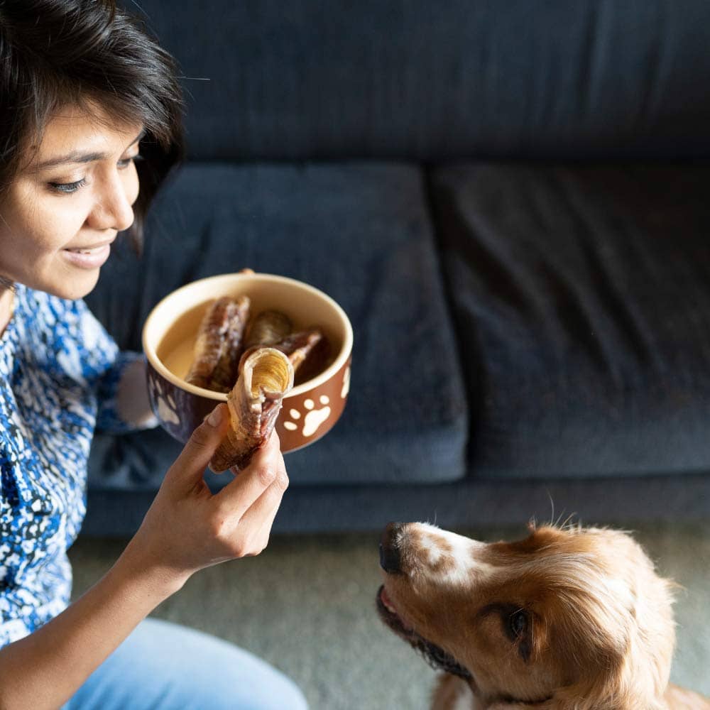 Canine Craving Dehydrated Grass-Fed Herb Buffalo Trachea Dog Treat