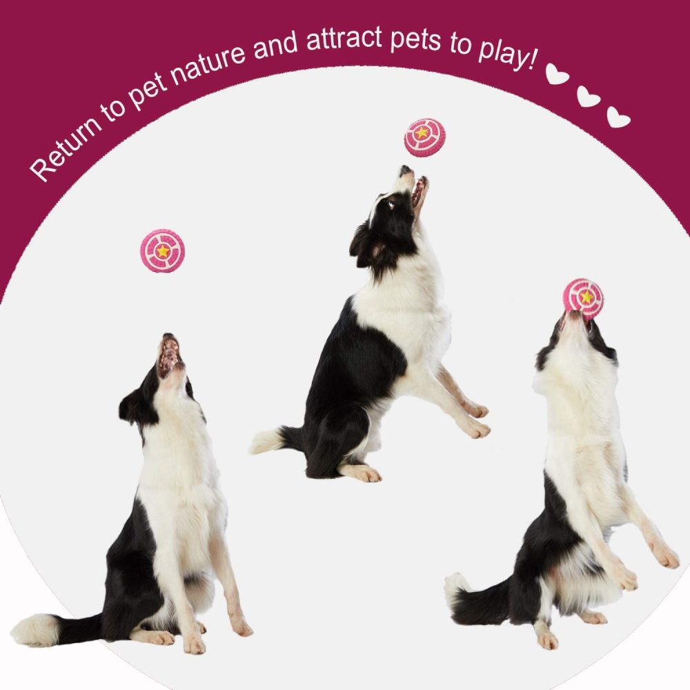 Kiki N Pooch Latex Pie Toy for Dogs