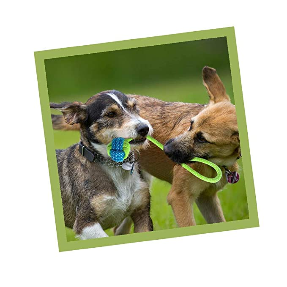 Kiki N Pooch Tug Of War Toy for Dogs