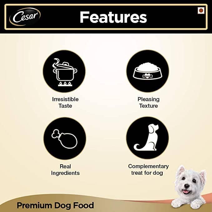 Cesar Salmon & Potato Adult Dog Wet Food