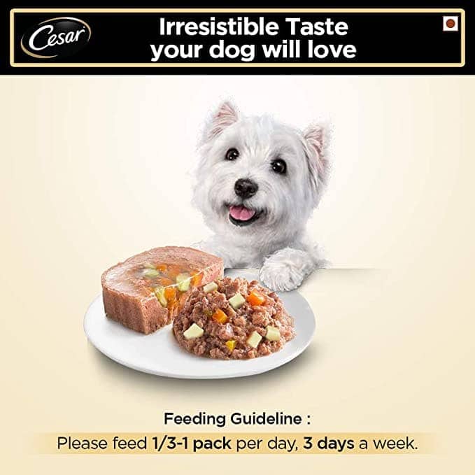 Cesar Salmon & Potato Adult Dog Wet Food