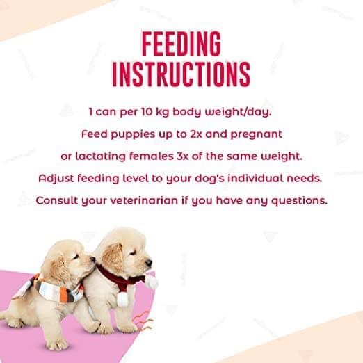 Kennel Kitchen Lamb and Vegetables Adult All Breeds Wet Dog Food