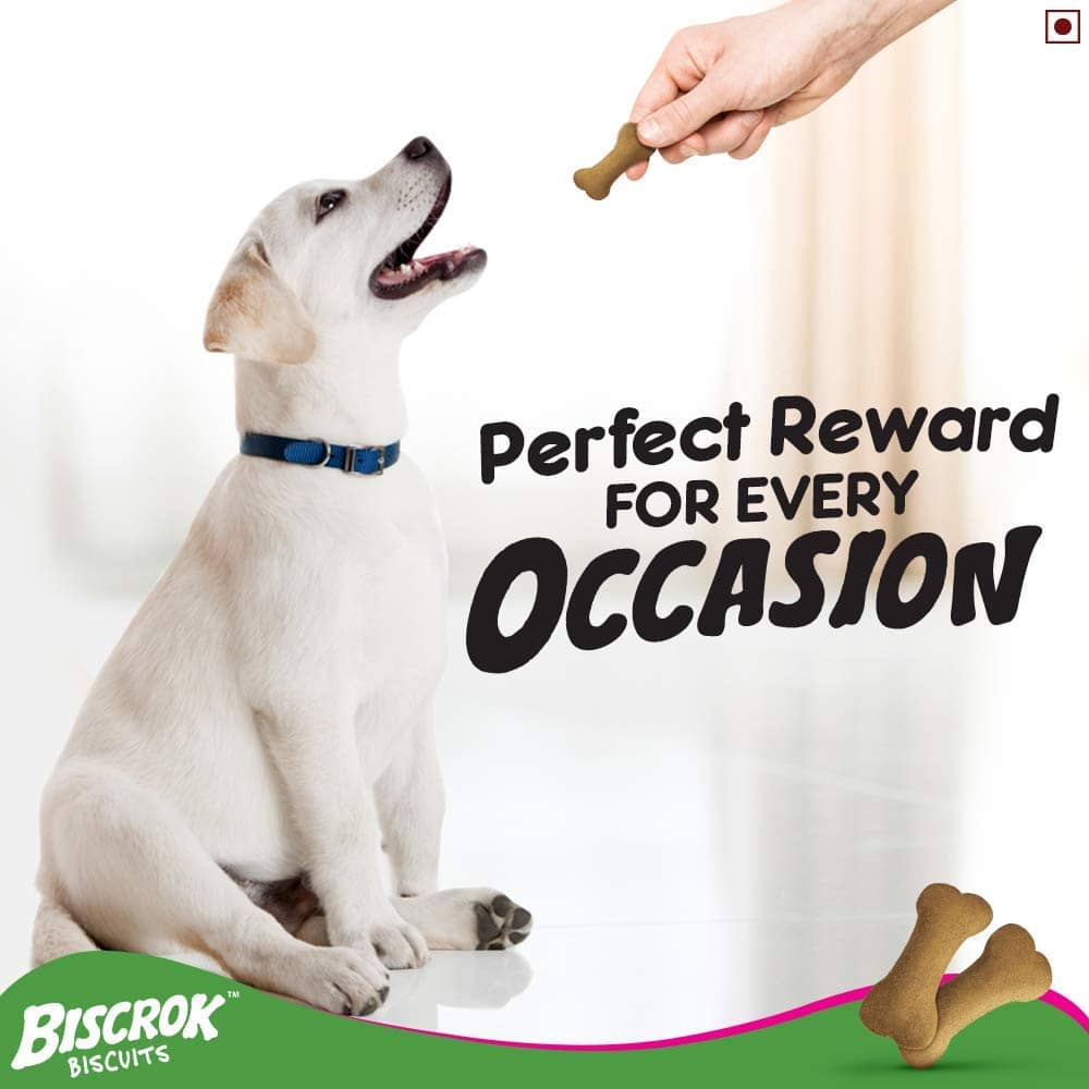 Pedigree Milk & Chicken Flavour Biscrok Dog Treats Sample