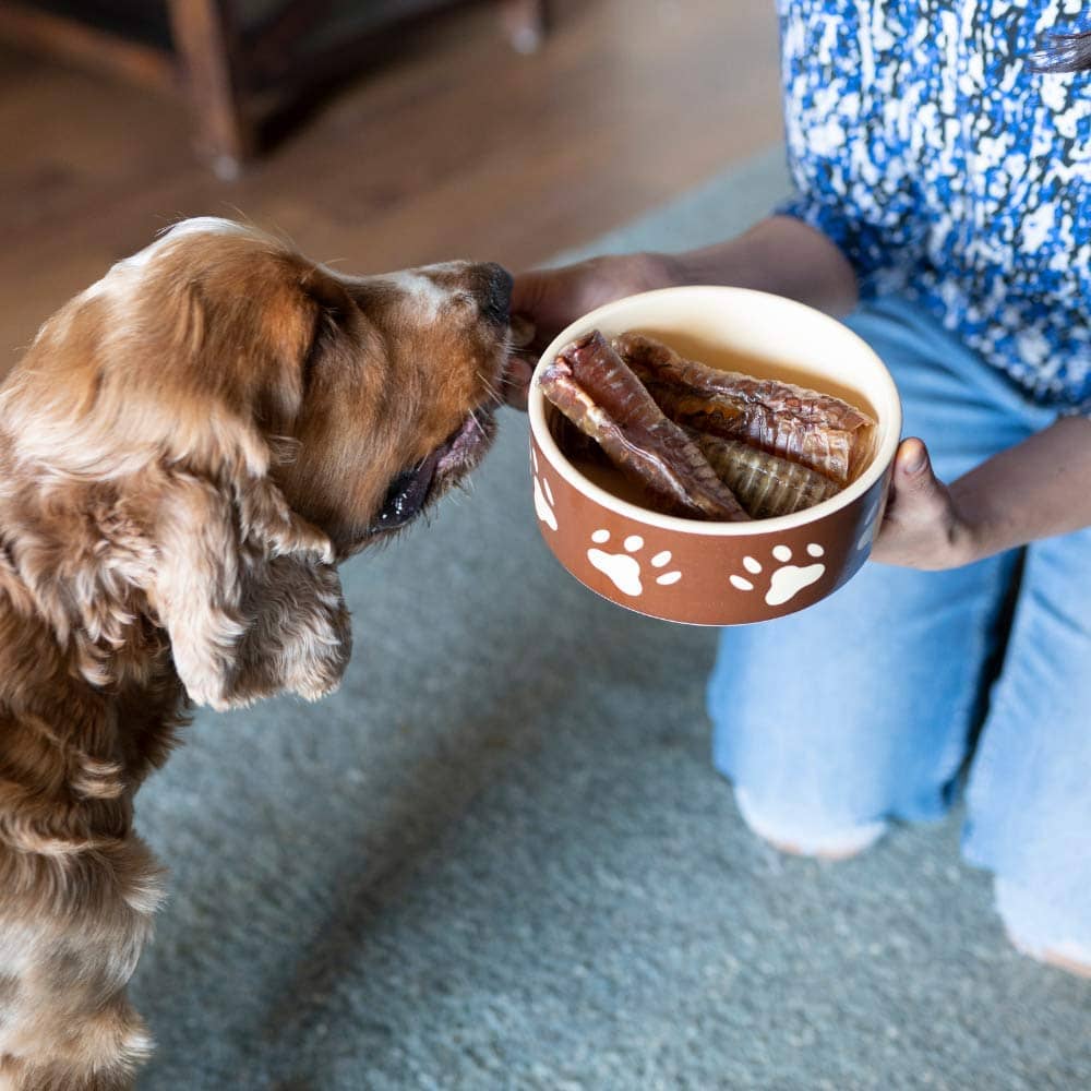Canine Craving Dehydrated Grass-Fed Herb Buffalo Trachea Dog Treat