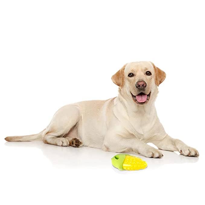 Fofos Vegi-Bites Corn Squeaky Toy for Dogs