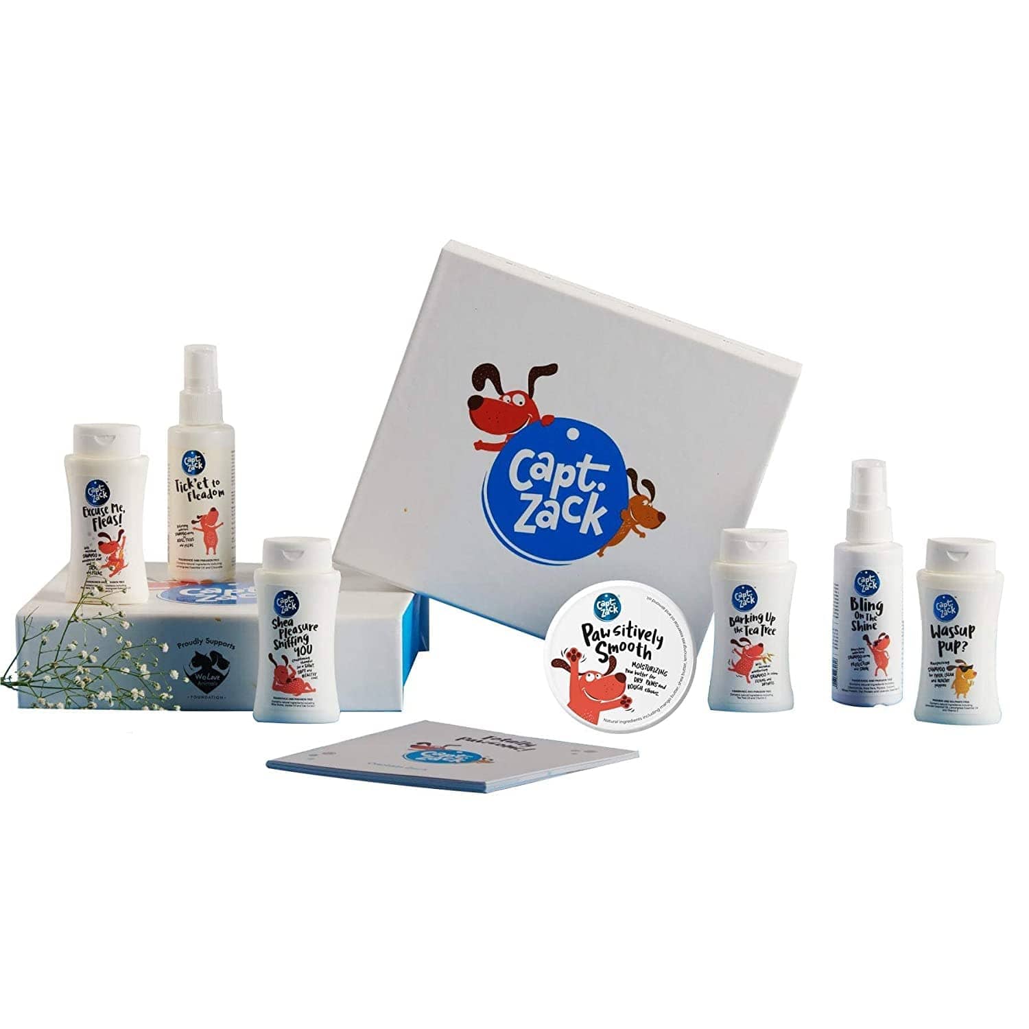 Captain Zack Miniature Box for Dogs
