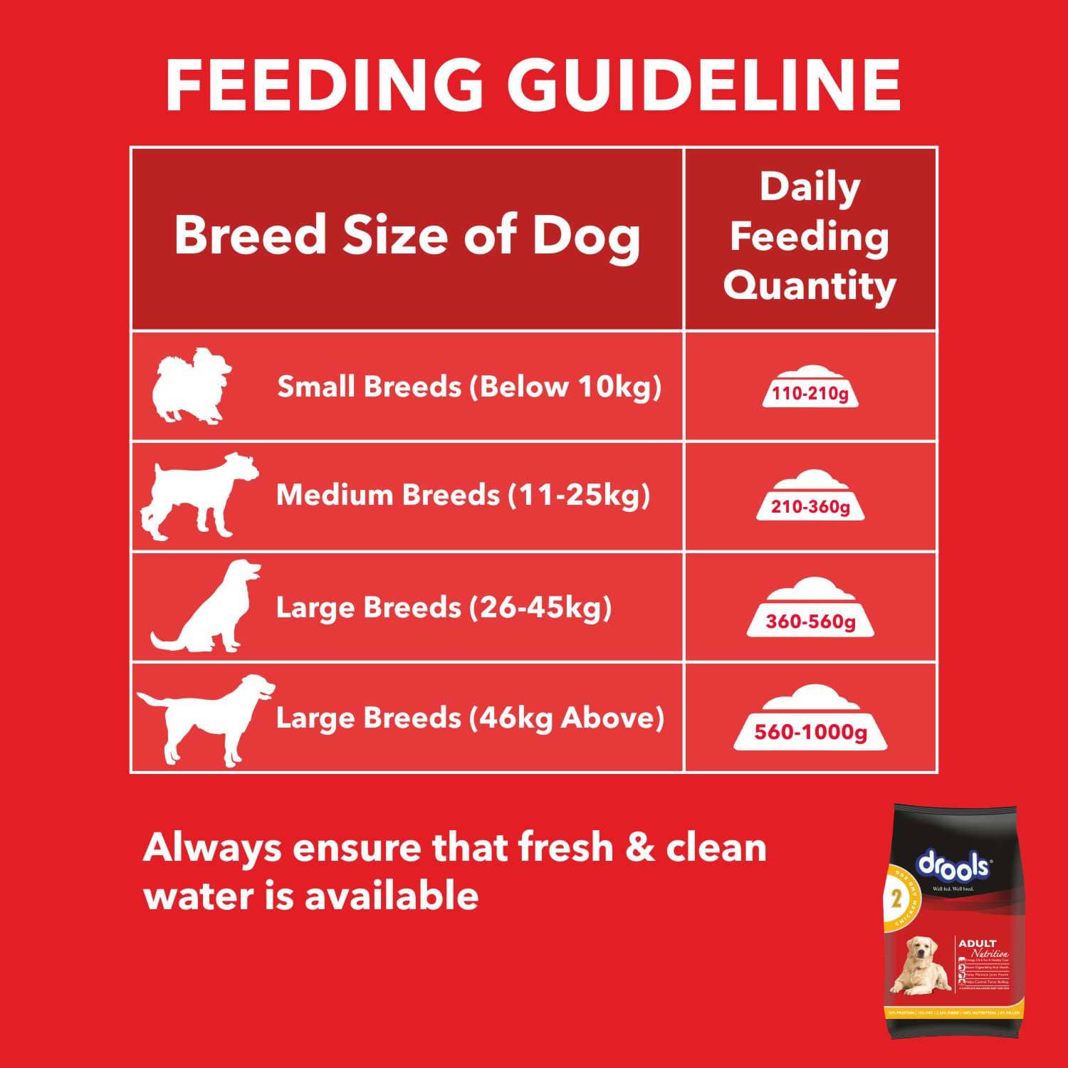 Birthday Special Deal Drools Chicken and Egg Adult Dog Dry Food (10+1Kg)