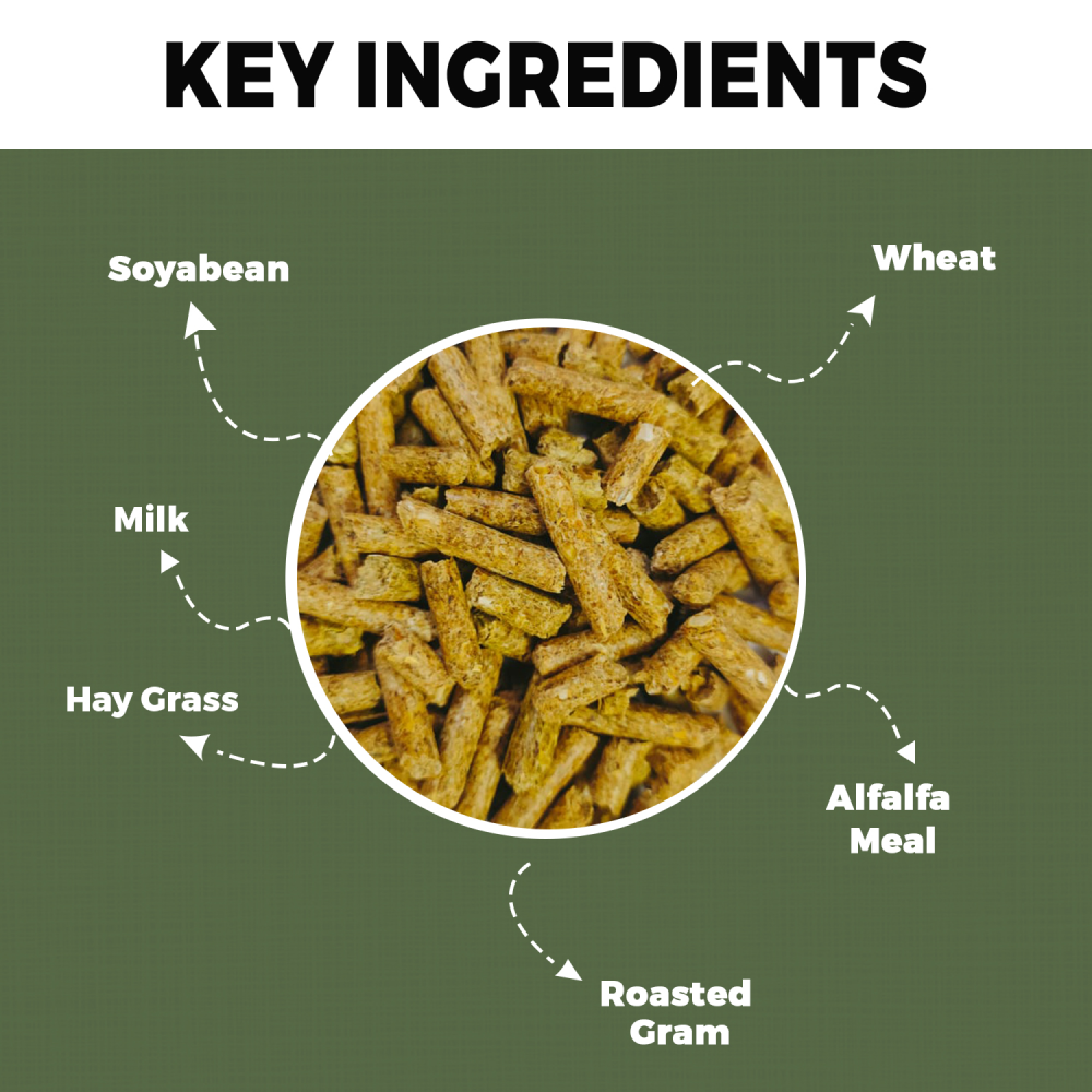 Petvit Rabbit Food