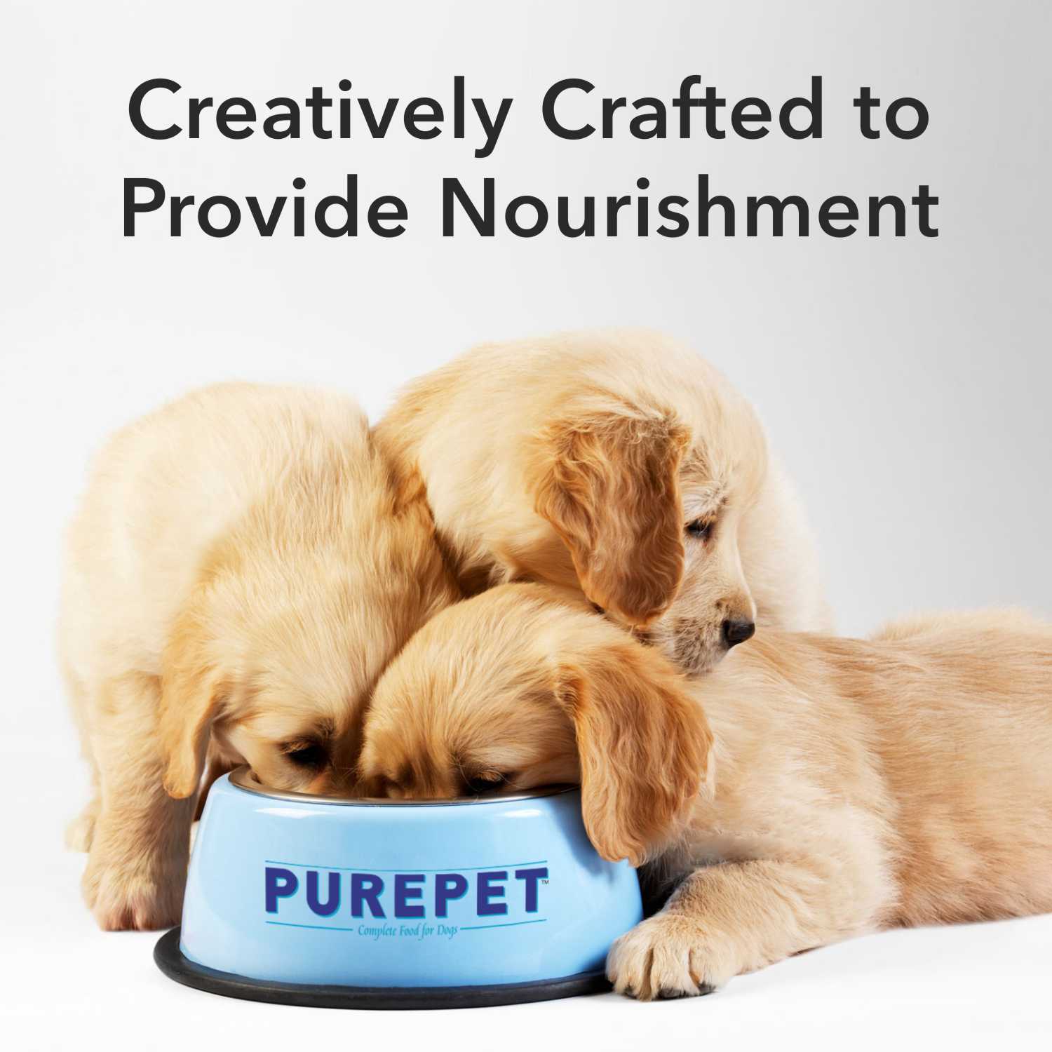 Purepet Chicken & Vegetable Chunks in Gravy Adult Wet Dog Food