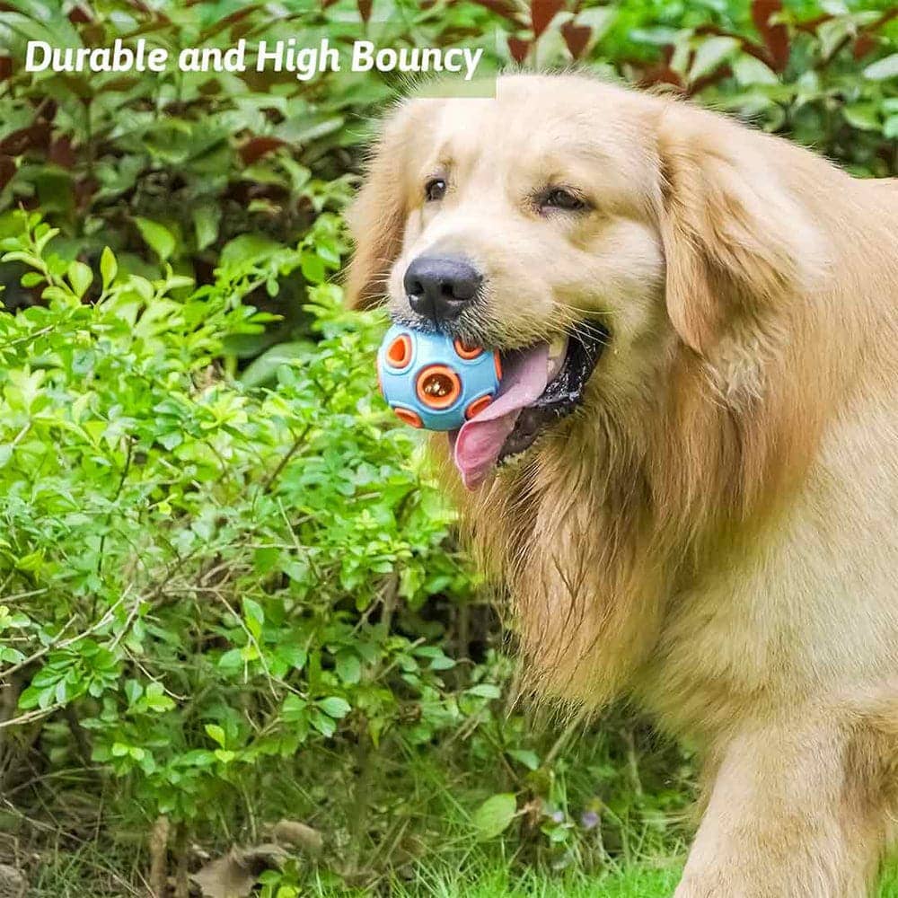 Pawsindia Hollow Sphere Ball Toy for Dogs
