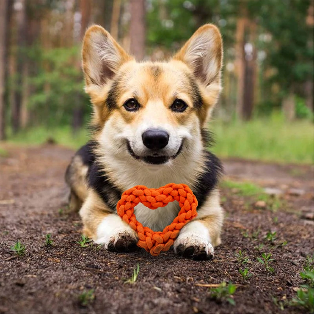 Dogitos Knotted Cotton Heart Shaped Rope Toy for Dogs