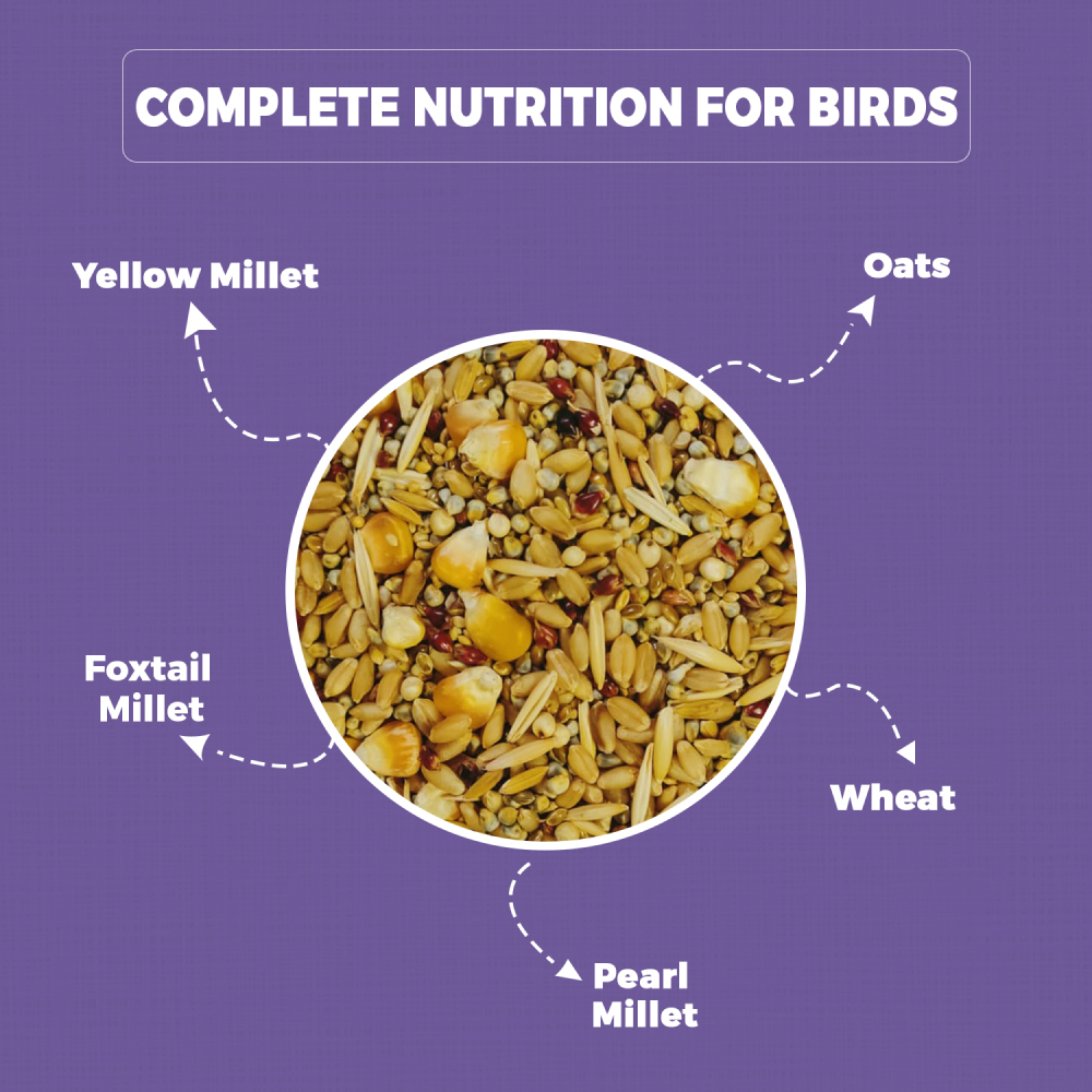 Petvit Food for Sparrow and All Wild Birds