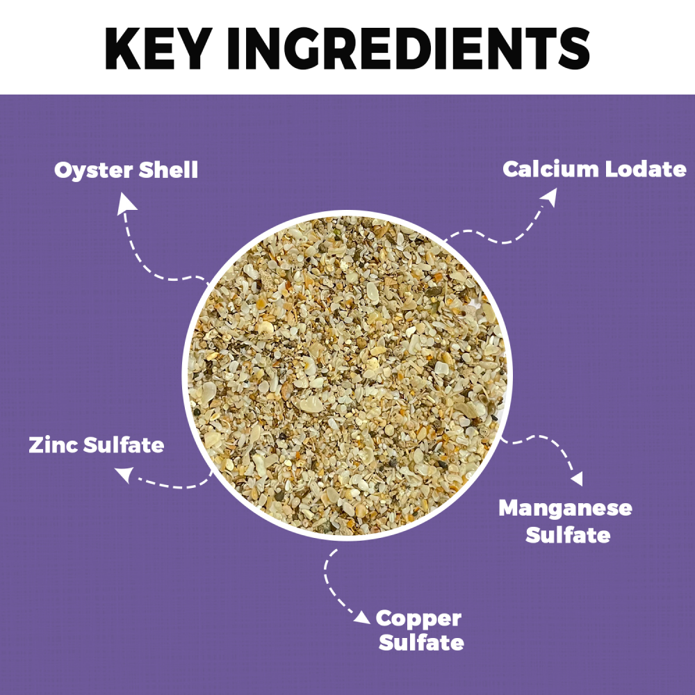 Petvit Mineral Birdƒ??s Grit