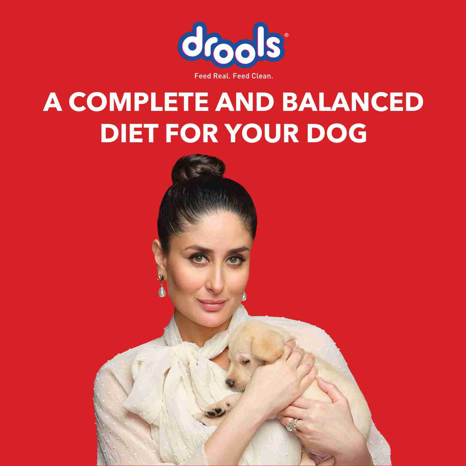 Drools Chicken Puppy Starter Dry Dog Food