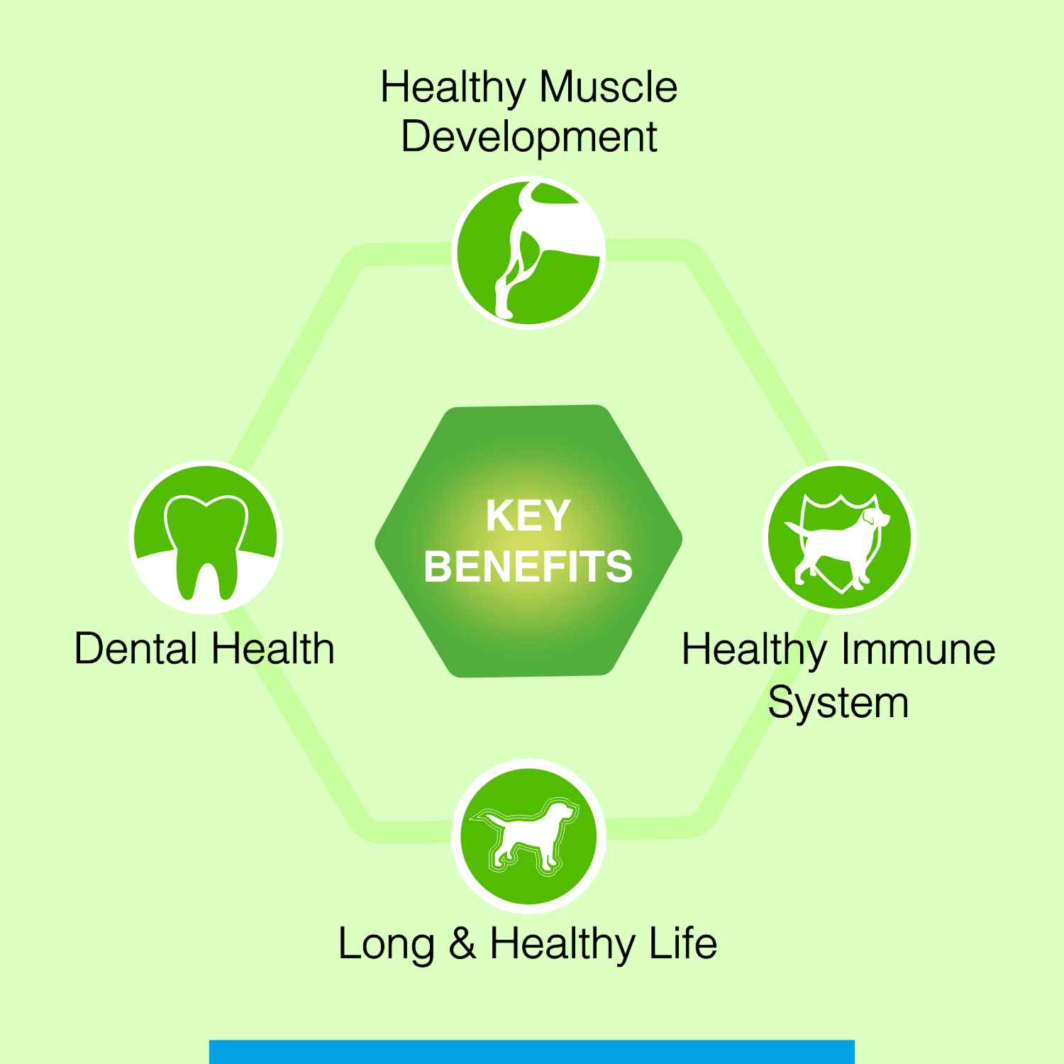 Canine Creek Ultra Premium Adult Dog Dry Food Sample