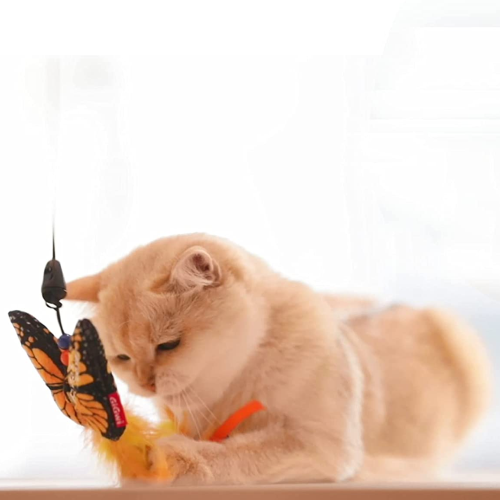 Gigwi FishYellow Butterfly with Flexible Rod Crinkle Paper Catnip and Bell Feather Teaser Blue