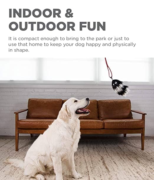 Outdoor Hound Tail Teaser with Refill Interactive Dog Toy