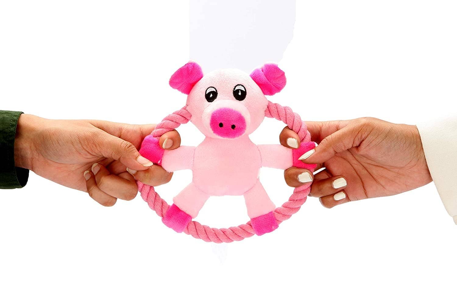 Pawsindia Crazy Frisbee Pig Toy for Dogs