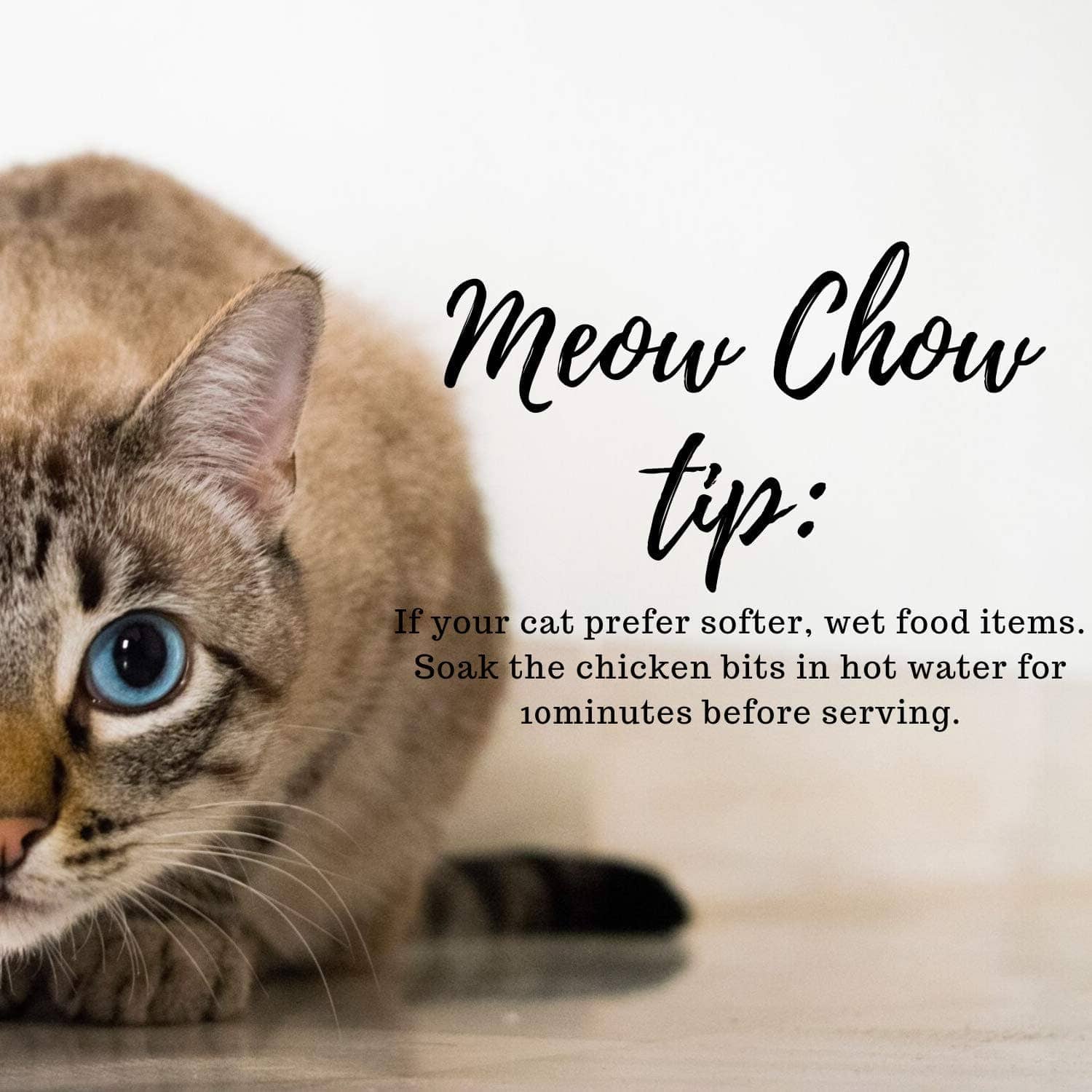 Doggie Dabbas Meow Chow Fish Bits Cat Treats
